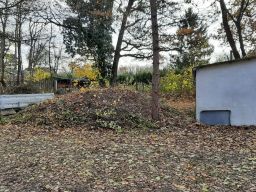 PHOTO-2023-11-26-11-53-22