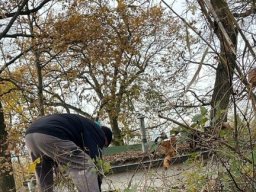 Arbeitseinsatz 26.11.2023